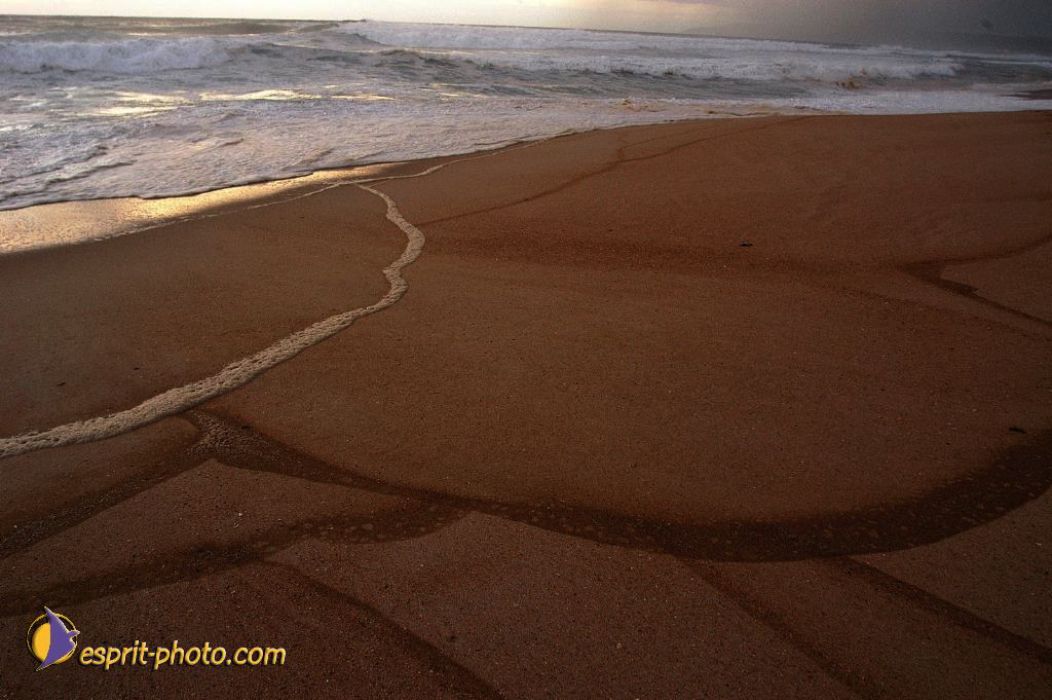 Nom de l'image : EP08-0353_(c)Norbert-JUNG — Description :